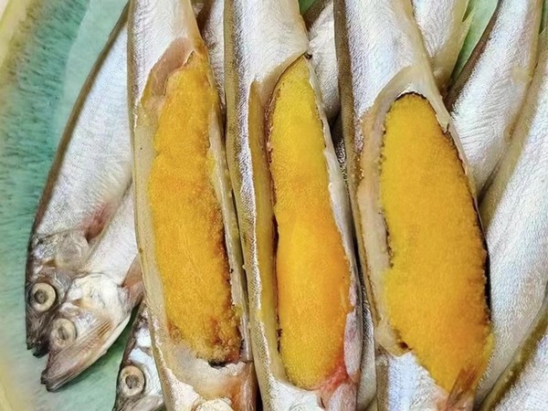 多春鱼