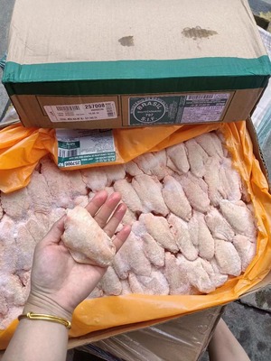 进口鸡翅